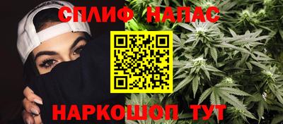 прущие грибы Балаково