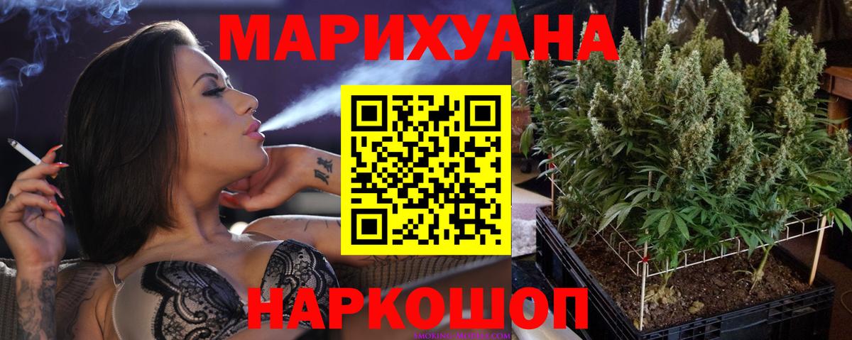 Бошки Шишки сатива  Вход с VPN  Марихуана сатива  Горячий Ключ  Бошки Шишки марихуана 